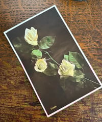 Image 1 of rose postcard