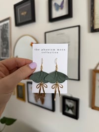 Image 2 of Moths with Bows