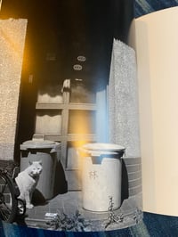 Image 2 of TOKYO WILD CATS, Hana Takeda, 1996.