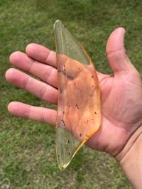 Image 8 of Copal Amber With Preserved Insects #2357