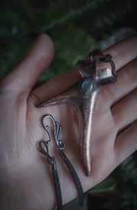 Image 4 of Real antler pieces with holly leaves and crystals