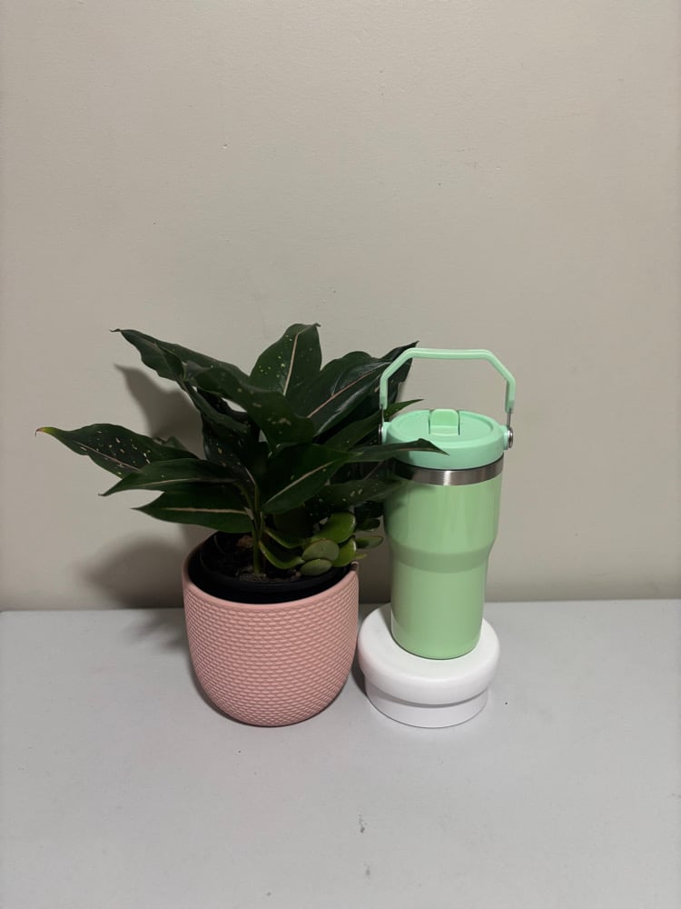 Gloss Drink Bottle (20oz)