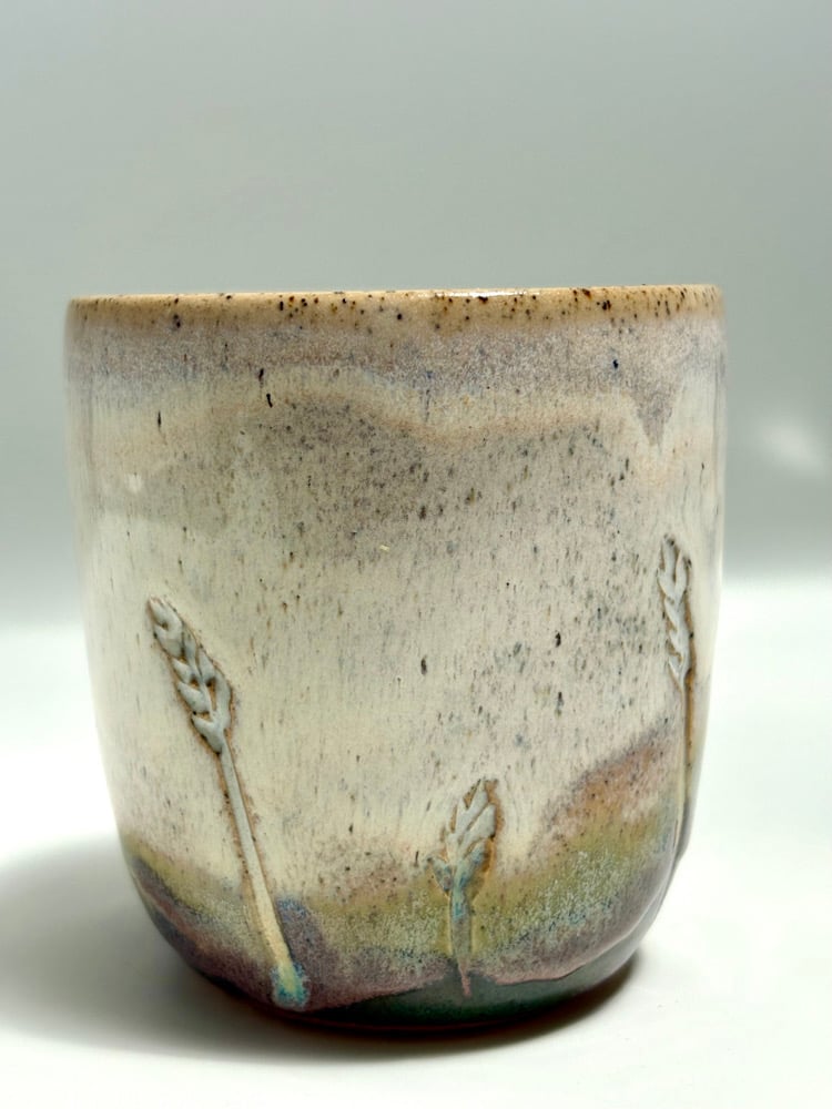 Image of Wheat Cup Day Break Medium  