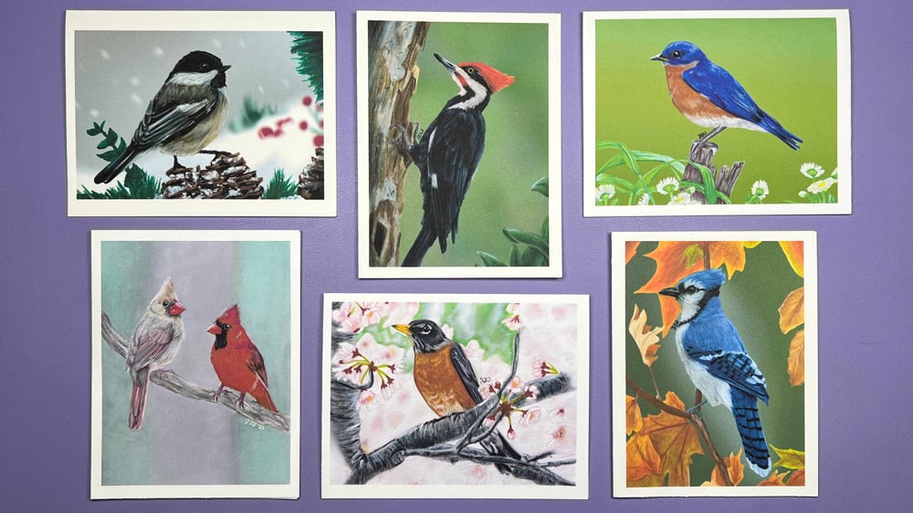 Image of Backyard Birds Card Pack