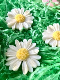 Image 1 of Blooming marvellous daisies