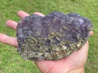 Image 11 of Purple Botryoidal Fluorite With Cubic Pyrite Specimen #447 