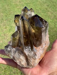 Image 24 of Smoky Citrine Points Cluster #1876
