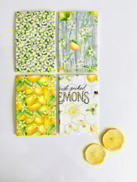 LEMONS IN YOUR POCKET