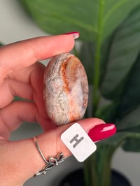 Image 17 of CHOOSE YOUR OWN MEXICAN LACE AGATE PALMSTONES 