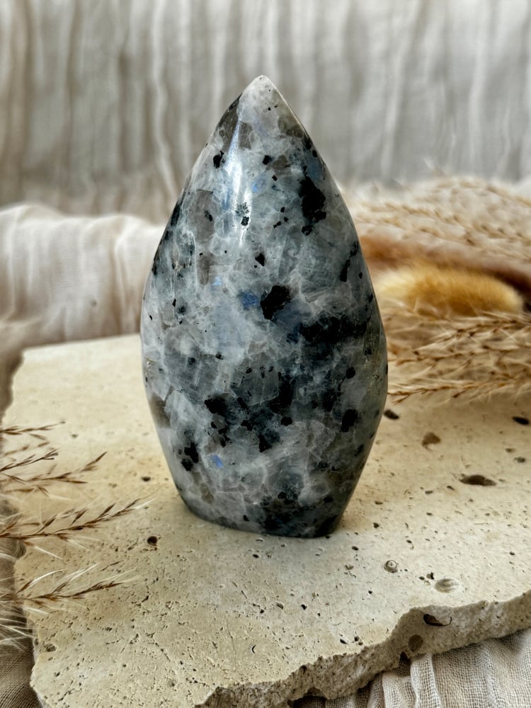 Image of Rainbow Moonstone Teardrop 