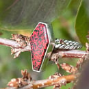 Image 3 of Small Sonora Sunrise Coffin Ring