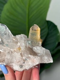 Image 2 of SELF STANDING CHLORITE/IRON INCLUDED COLOMBIAN QUARTZ