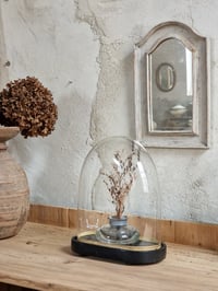 Image 1 of Le globe ancien 