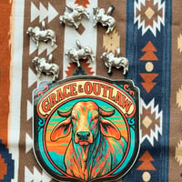 Image 3 of Brahman Charm