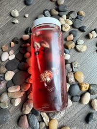 Image 2 of Rose Hibiscus Ice Toner