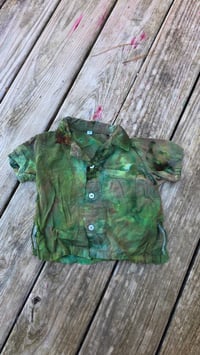 Image 4 of Evergreen