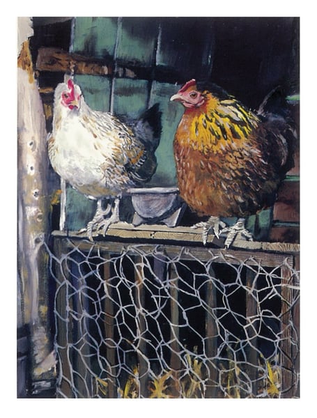 Image of Chicken Coop. 