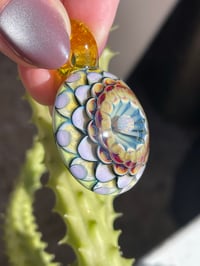 Image 4 of Sunburst Dahlia