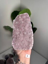 Image 11 of XL SELF STANDING COTTON CANDY APOPHYLITE CUT BASES -INDIA-