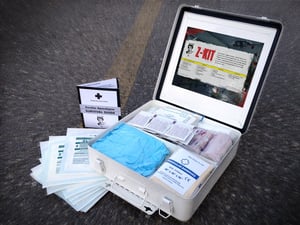 Image of Z-Kit: Bruce Edition DELUX SIZE with survival guide