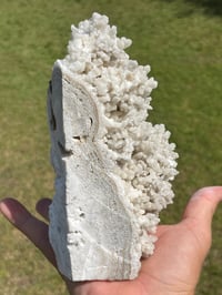 Image 10 of White Calcite Crystal Reef Formation Specimen #1238