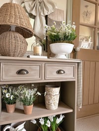 Image 3 of Wildflower in Terracotta Pot