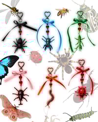 Image 1 of Insect Keychains
