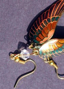 Image of Rainbow Wing Earrings