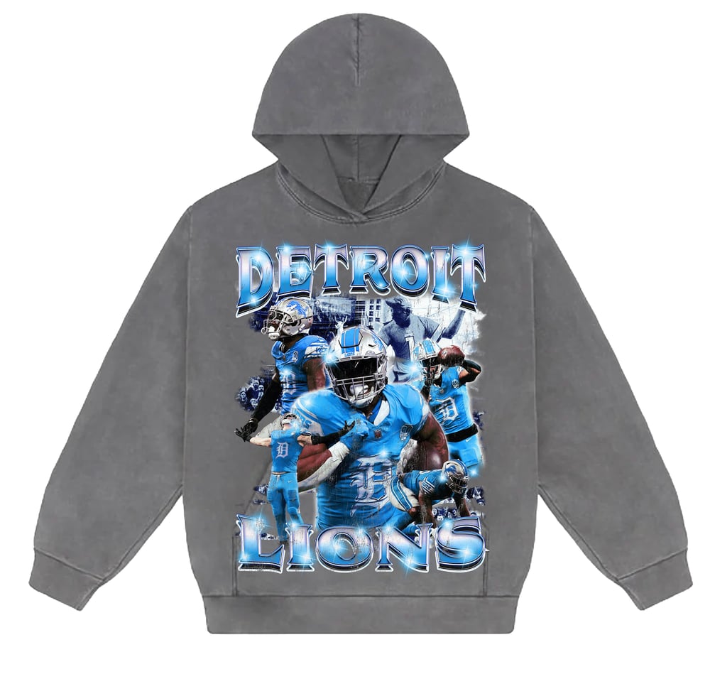 Image of Champion Hoody