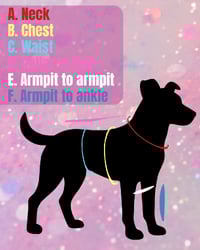 Image 3 of Custom | Doggy PJs