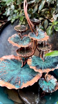 Image 1 of 🍃🙏🏼🌱Sacred Lotus