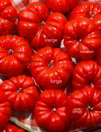 Image 10 of HEIRLOOM TOMATO CANDLE