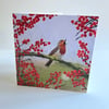 Set of 'Winter Birds' Luxury Greetings Cards