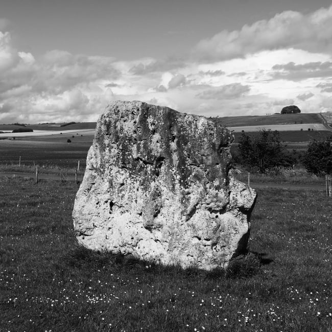Bones of the Land Zine Pre-order