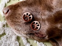 Image 3 of Glass Paws