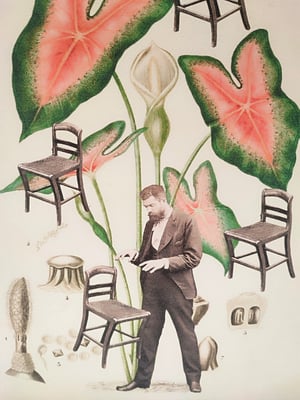 Image of El mentalista.