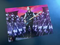 Green Day - Mike Dirnt (Glasgow) 2