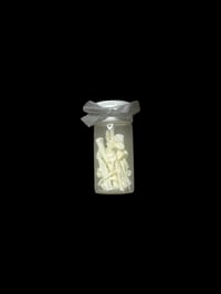 juvenile cane toad bones jar