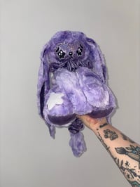 Image 3 of dolce 💜✨ (Lg) (Weighted 3lbs)