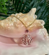 Image 1 of Scallop Shell Necklace N193