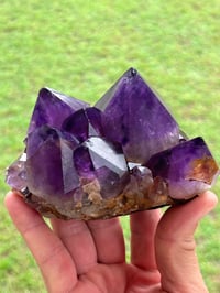 Image 12 of Amethyst Points Cluster | Congo #2869