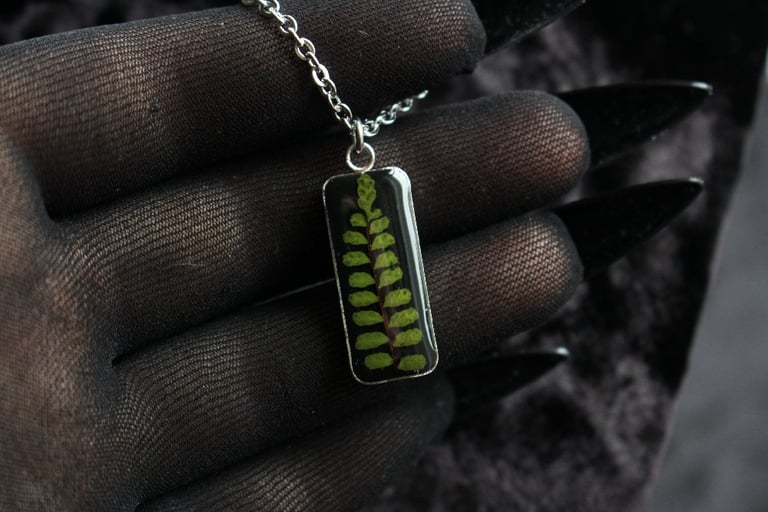 dead good maidenhair spleenwort Fern pendant