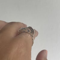 Image 2 of Pajaros en la montaña ring