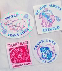 Image 1 of trans stickers