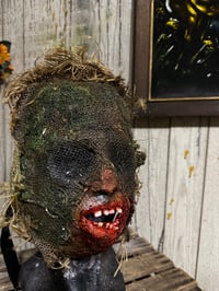 Image 3 of Jeb
