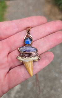 Image 1 of Electroformed sharktooth necklace 02