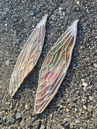 Image 5 of Narurally dyed Silk Cicada Wings