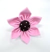 Pink Collar Flower