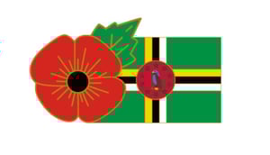 Image of DOMINICAN FMN Poppy/Flag Combo Medal (28mm x 15.5mm)