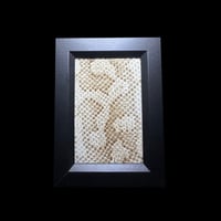 python skin frame 2